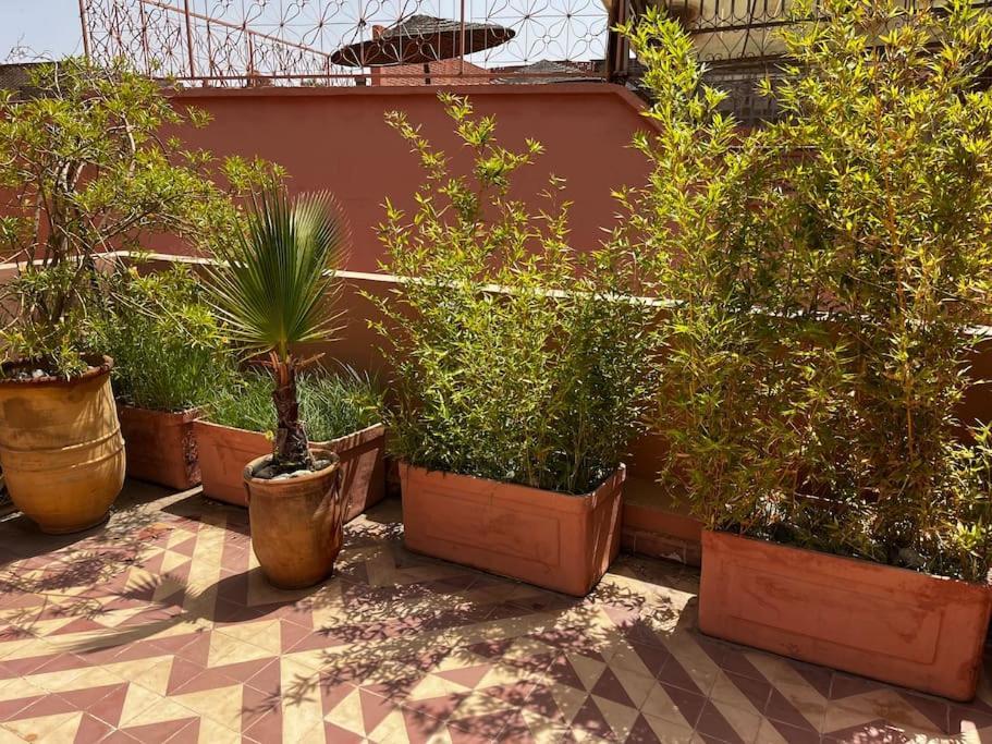 Riad Nadara, Superbe Riad Au Coeur De La Medina! Μαρακές Εξωτερικό φωτογραφία